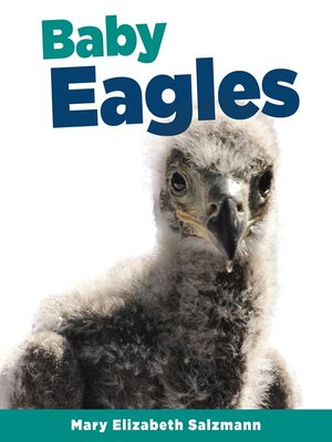 cover image of Baby Eagles